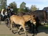 Bondens Dag - Rundtur med häst och vagn